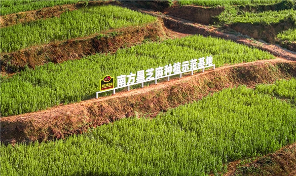 2025092316554582.005